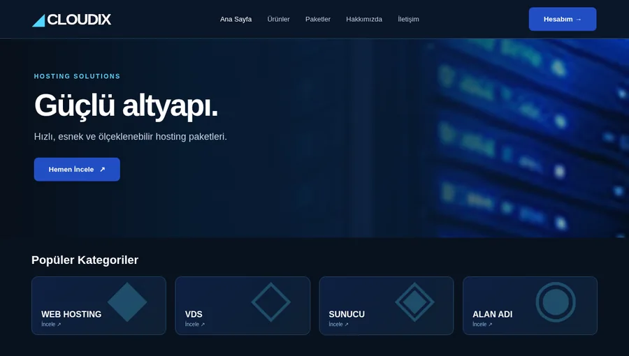 Hosting Firma Web Tasarımı